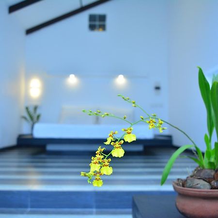 Midigama Holiday Inn Zewnętrze zdjęcie